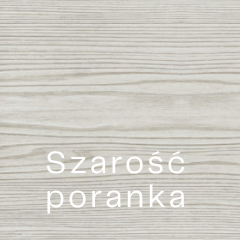 Szarość poranka