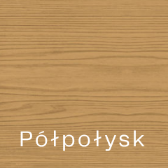Półpołysk